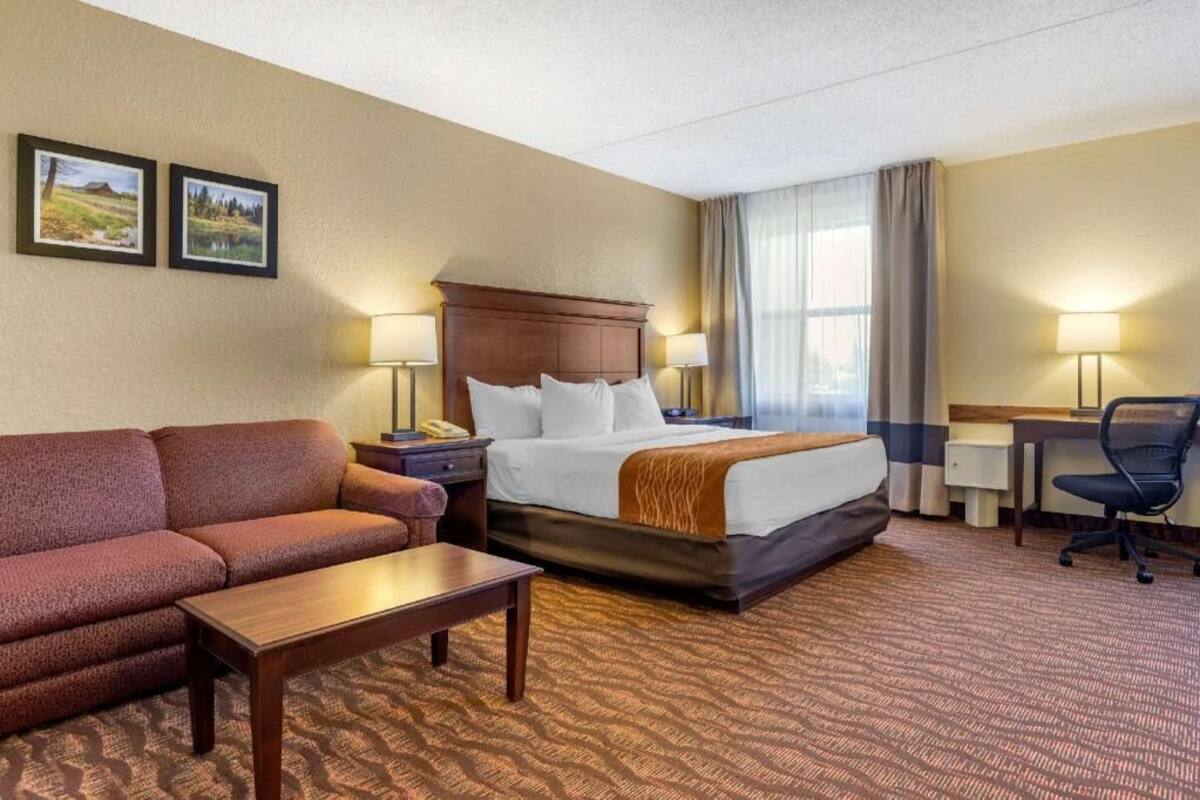 A hotel room with a bed, a sofa, a desk, two lamps, and two framed pictures on the wall.