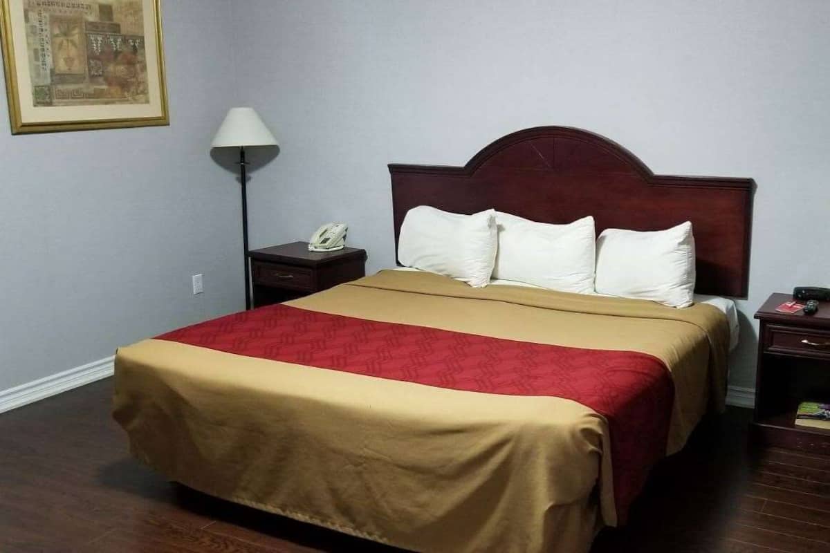 A hotel room with a large bed, a bedside table with a lamp, and a framed picture on the wall.