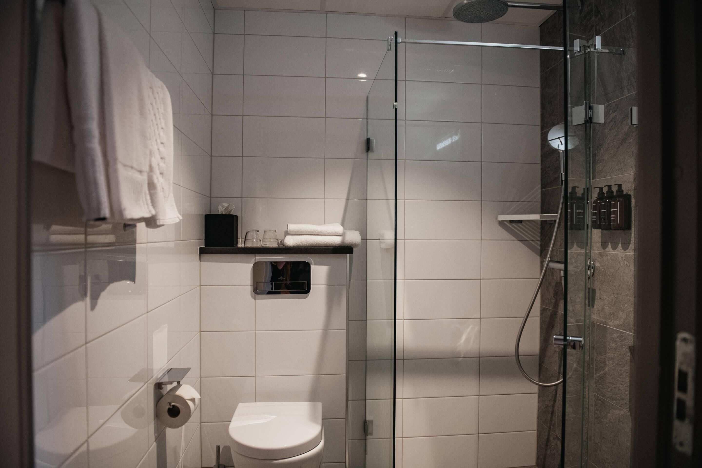 A modern bathroom with a glass-enclosed shower, a toilet, and a shelf with toiletries.
