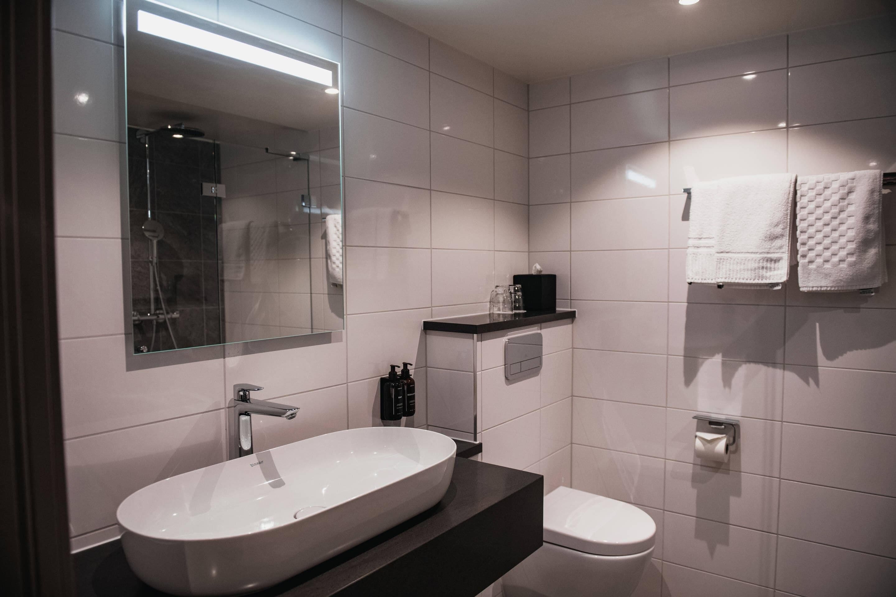 Ein modernes Badezimmer mit einem großen, ovalen Waschbecken, einer Toilette und einem Spiegel.