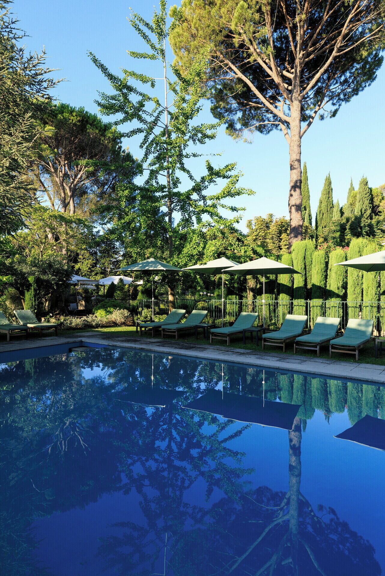 A swimming pool with lounge chairs and umbrellas, surrounded by trees and greenery.