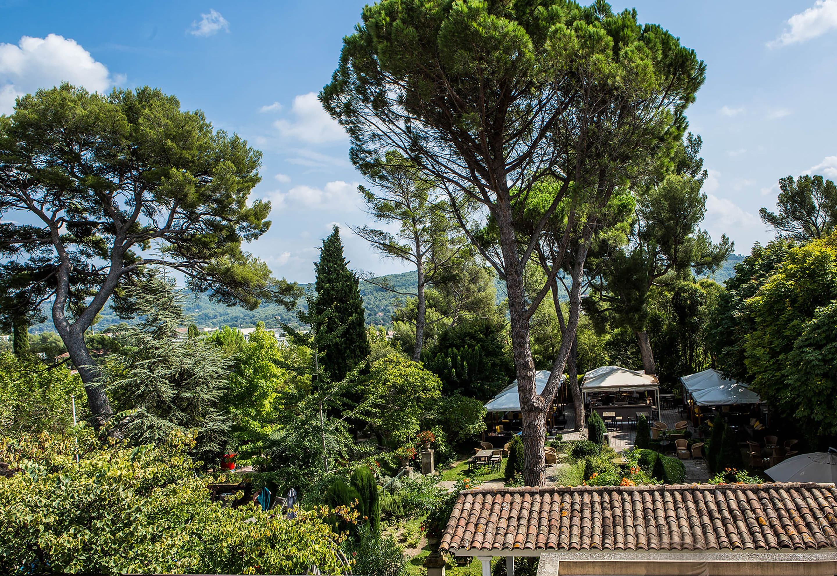 superior room, garden view | view from room