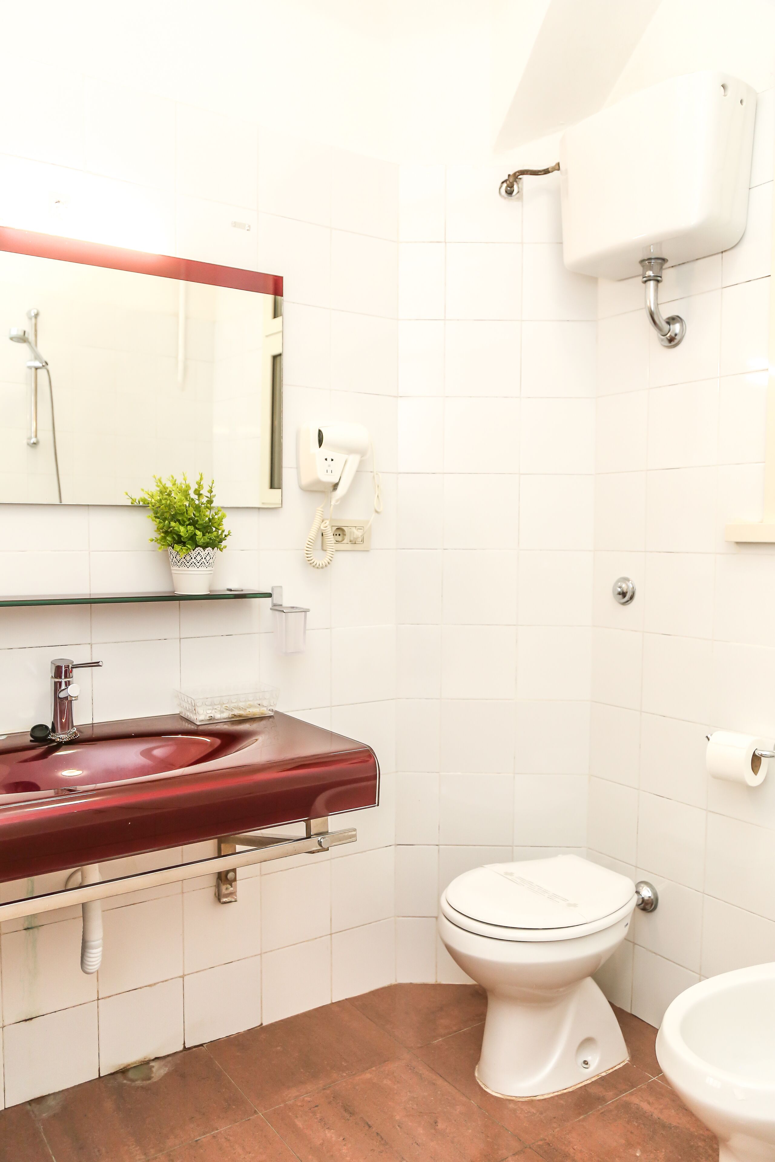 A bathroom with a red sink, white toilet, and a glass shelf with a plant.
