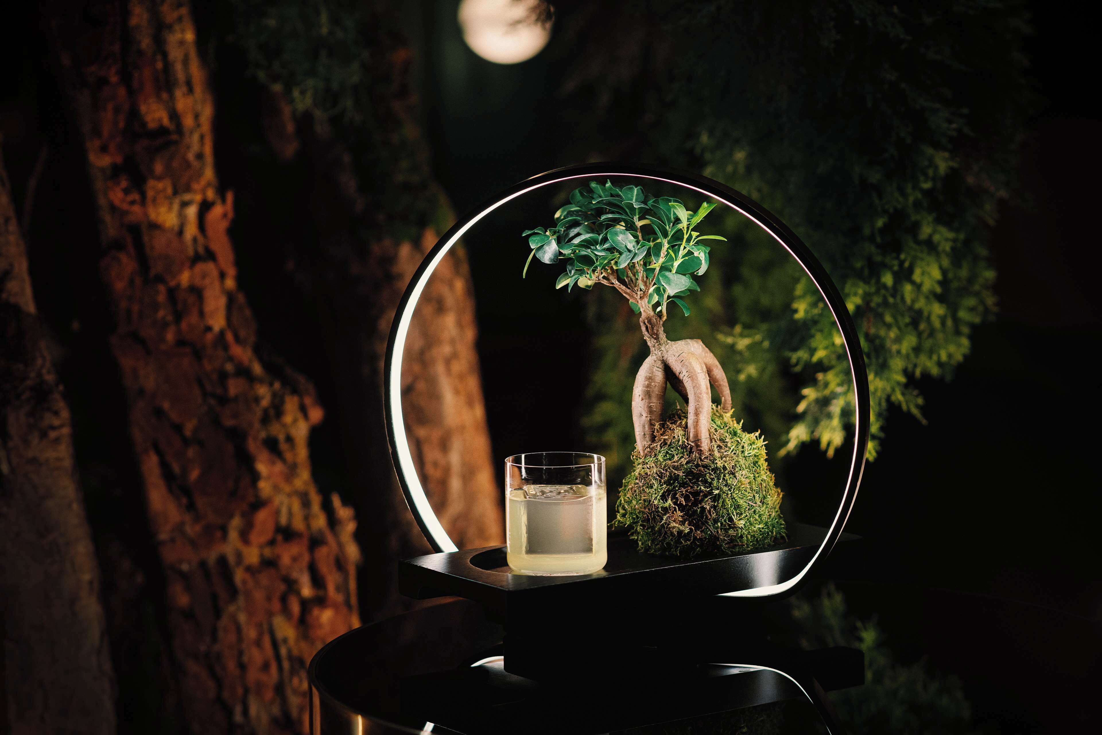 Photo - Radisson Blu Carlton Hotel, Bratislava