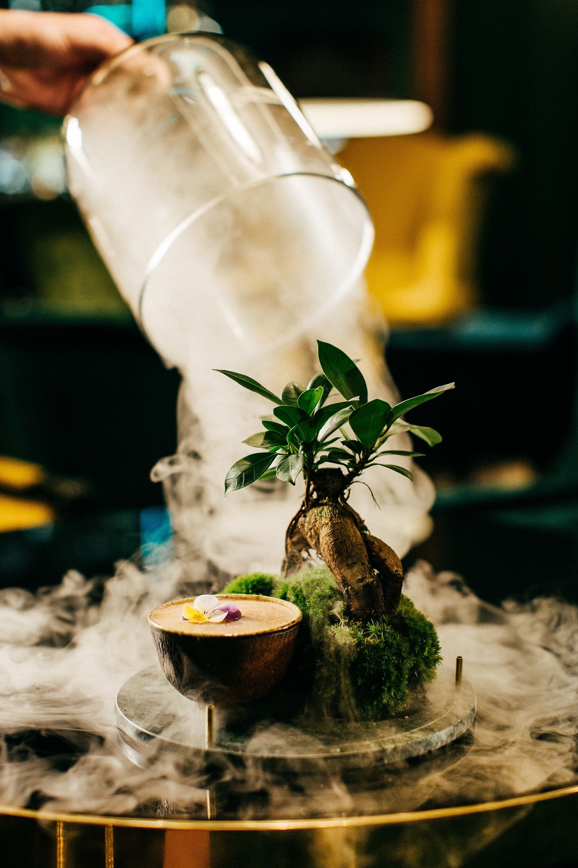 A small bonsai tree on a moss-covered base with a bowl and a flower.