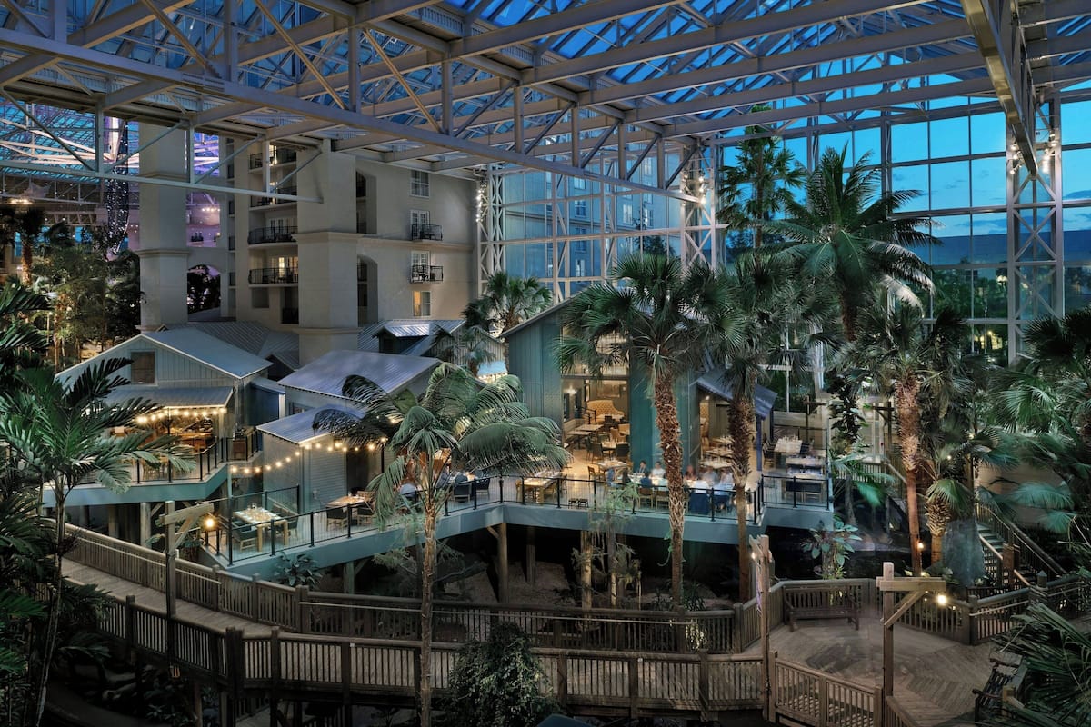 A multi-level atrium with a glass ceiling, palm trees, and a wooden deck.