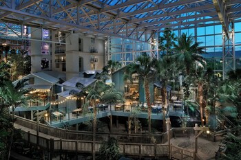 Hotel Exterior at Gaylord Palms Resort & Convention Center