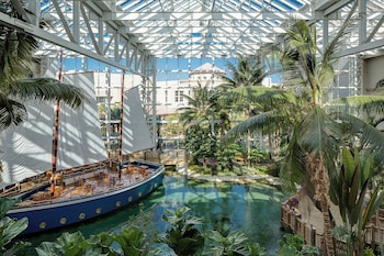 View from property looking out at Gaylord Palms Resort & Convention Center