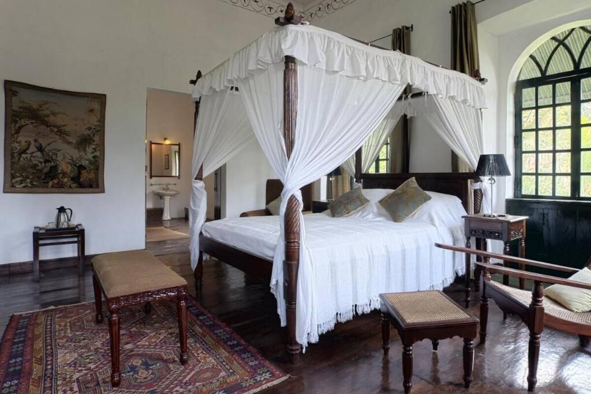 Premium bedding, down comforters, in-room safe, individually decorated