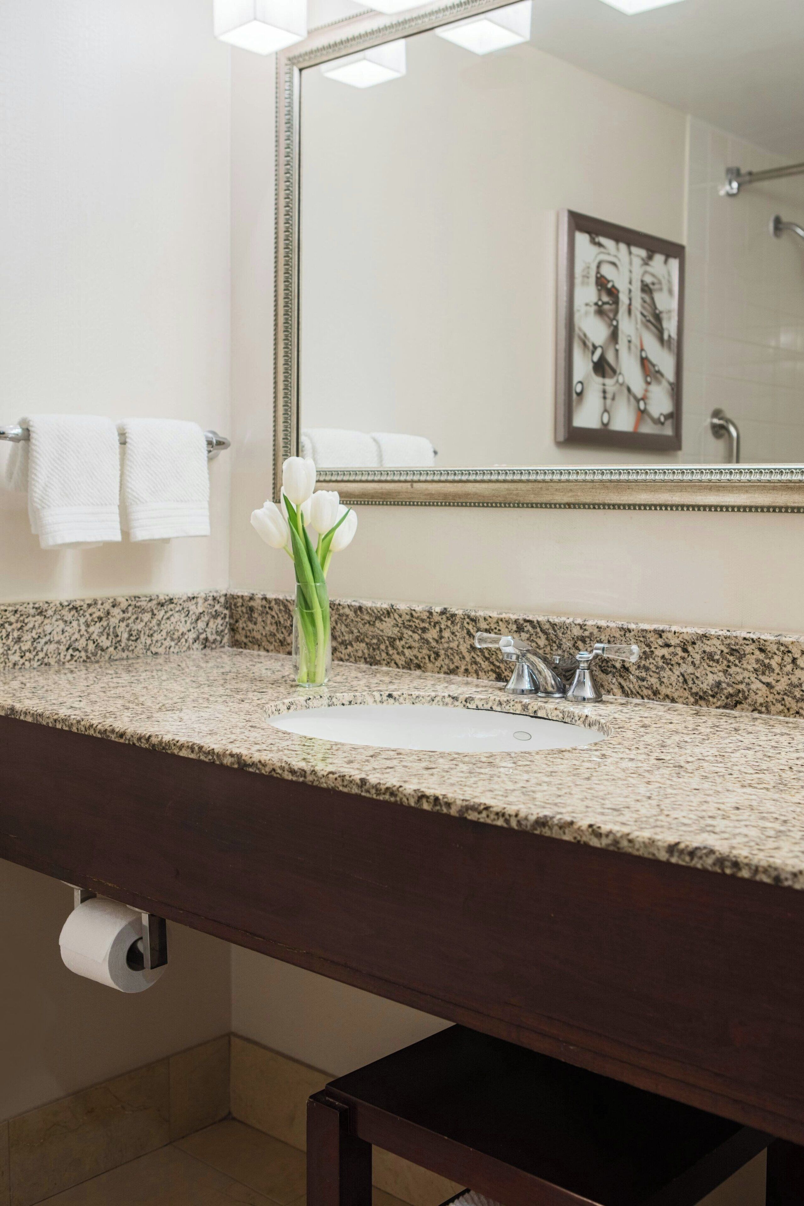 combined shower/bathtub, free toiletries, hair dryer, towels