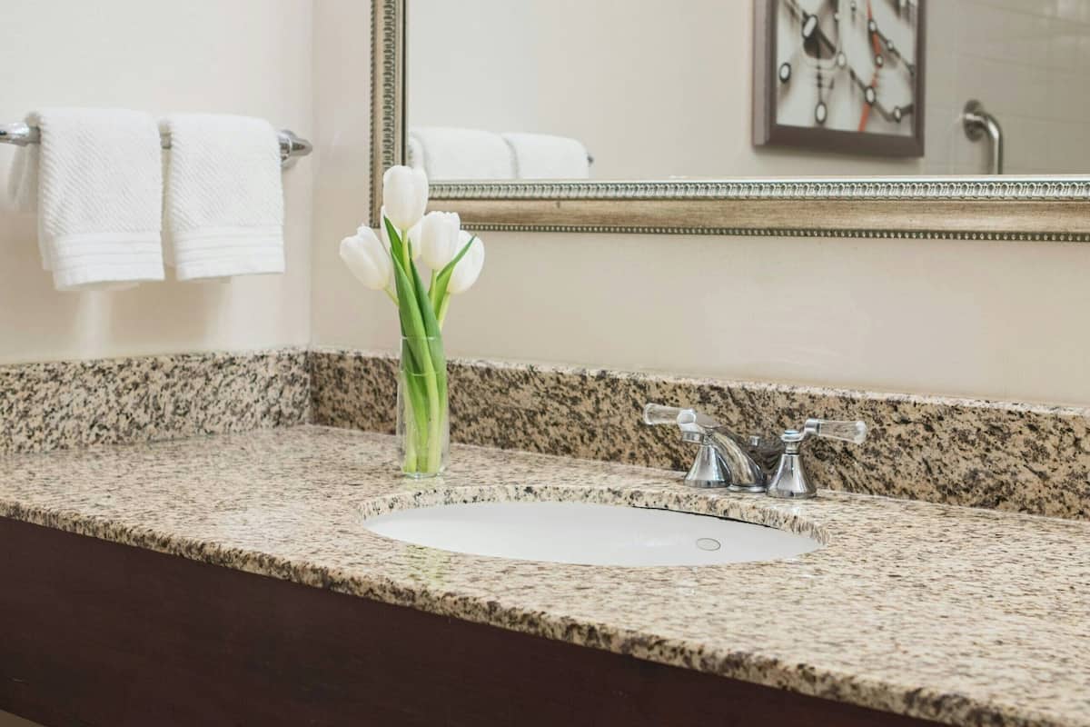 combined shower/bathtub, free toiletries, hair dryer, towels