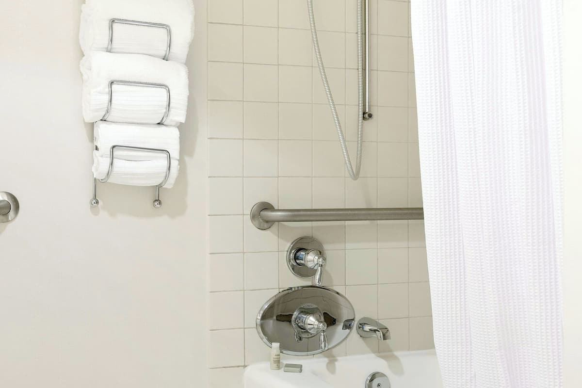 combined shower/bathtub, free toiletries, hair dryer, towels