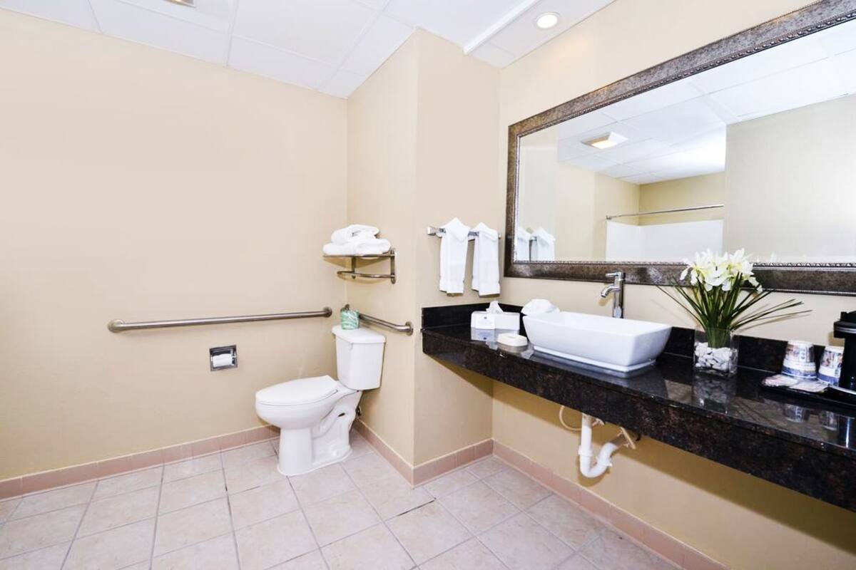 A bathroom with a toilet, a sink, a mirror, and a handrail.
