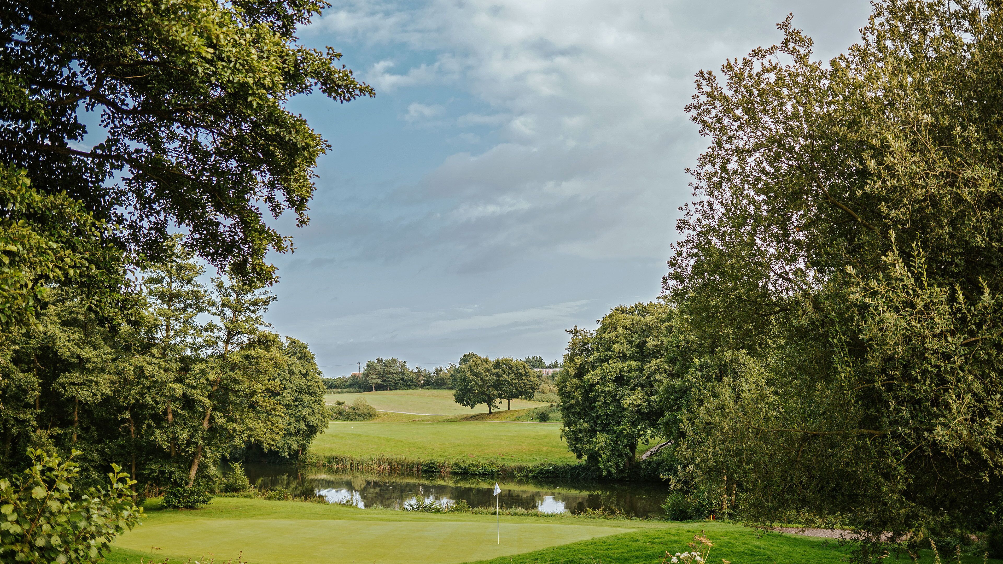 A golf course with a pond, surrounded by dense trees and a clear sky.