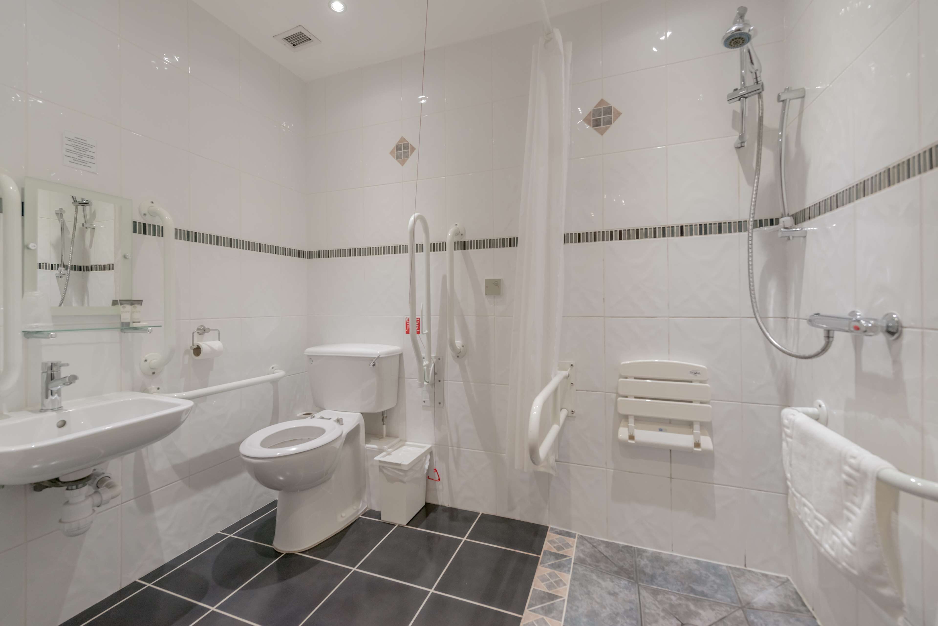 A modern bathroom with a toilet, sink, shower, and handrails.