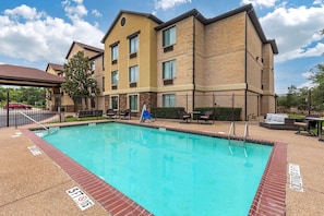 Seasonal outdoor pool, sun loungers