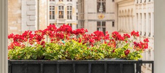 Hotel Amigo, a Rocco Forte Hotel