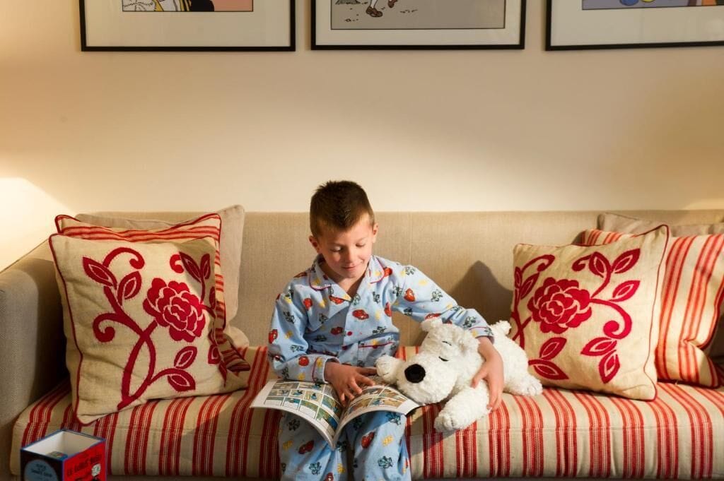 Suite (Tintin) | Coin séjour | Télévision à écran plat, films à la carte