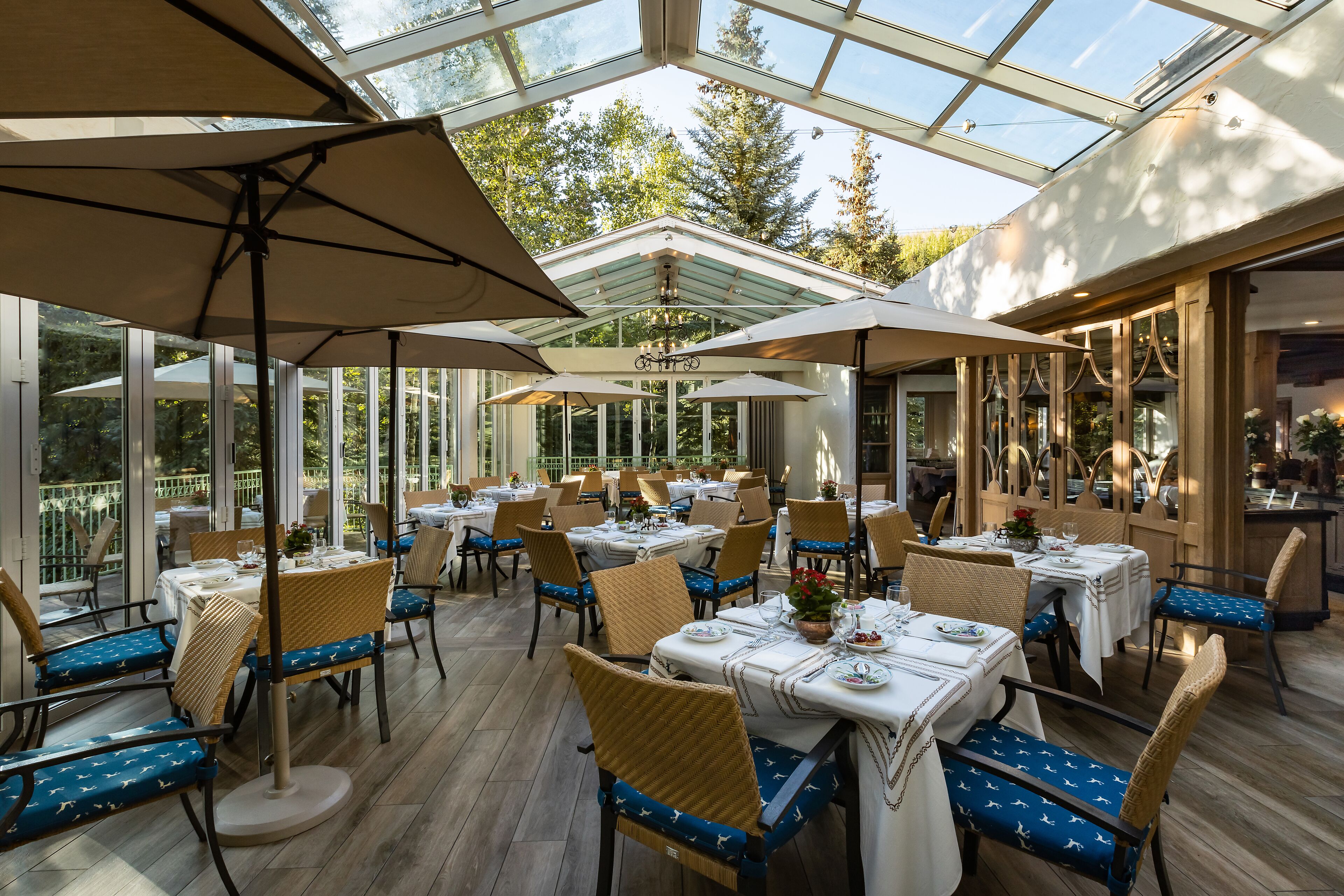 An outdoor dining area with tables and chairs, large umbrellas, and a glass ceiling.