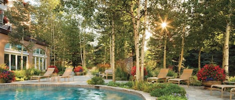 A swimming pool surrounded by trees and lounge chairs.