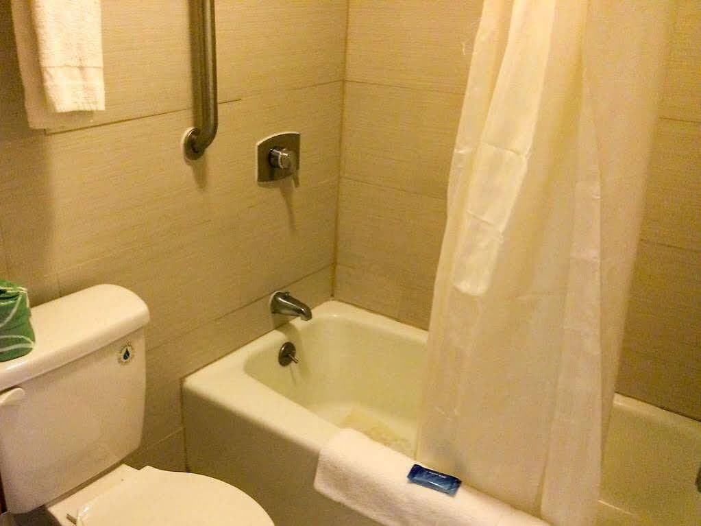 Combined shower/tub, free toiletries, hair dryer, towels