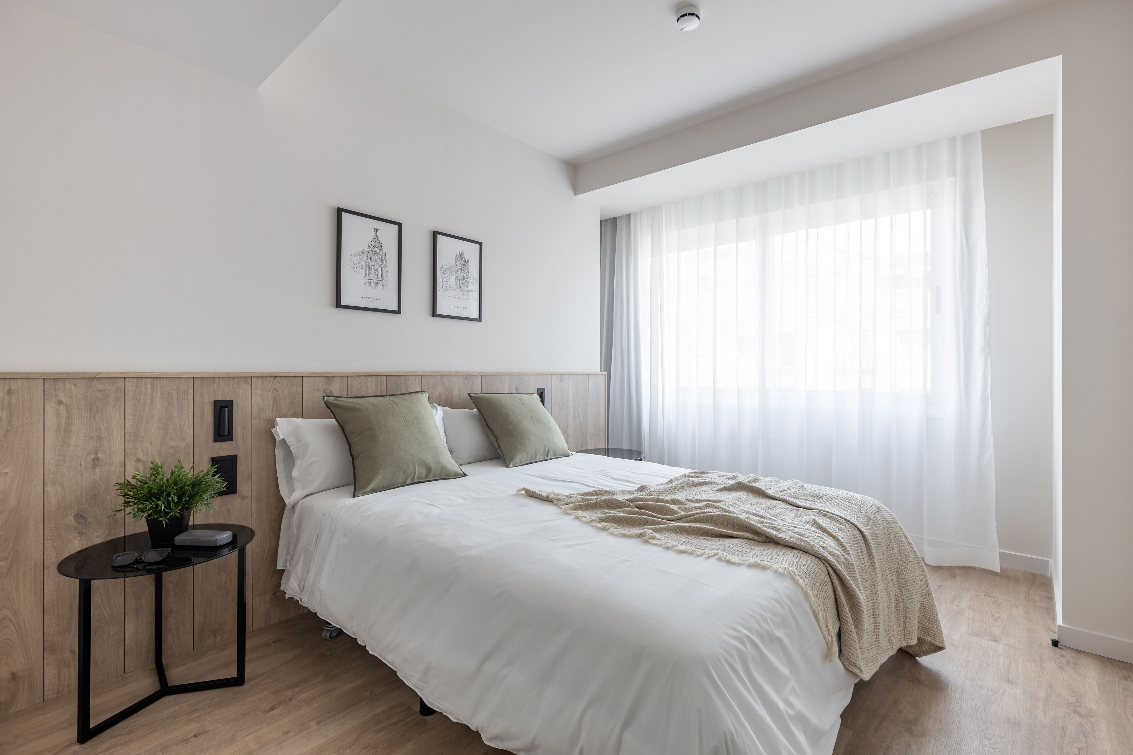 A modern bedroom with a large bed, a small side table with a plant, and two framed pictures on the wall.