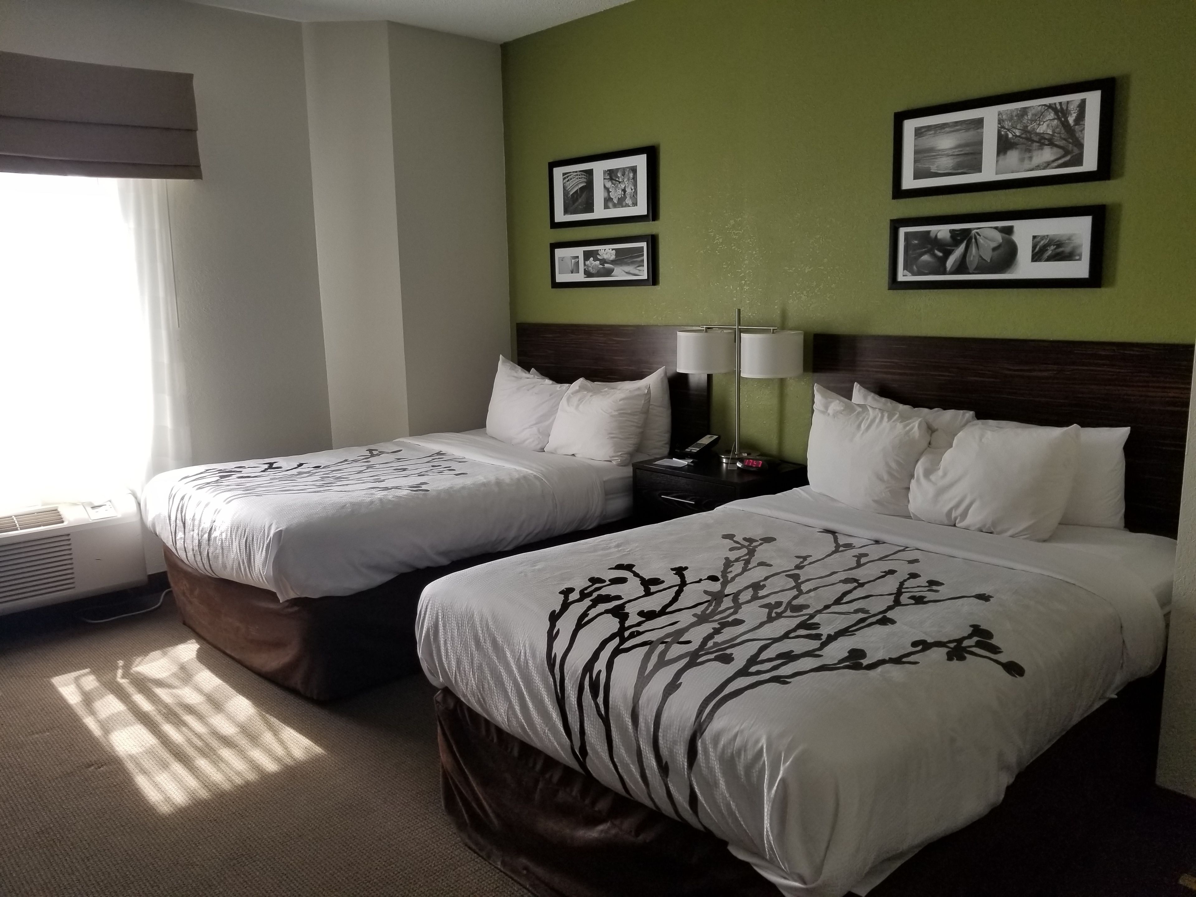 Une chambre d’hôtel avec deux lits, une table de chevet avec une lampe et des tableaux encadrés au mur.