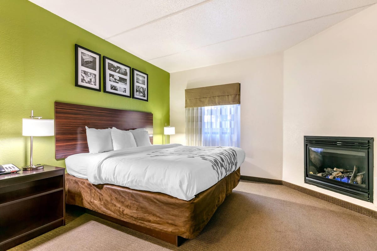 Une chambre d’hôtel avec un grand lit, une table de chevet avec une lampe, une cheminée et des murs verts ornés de tableaux.