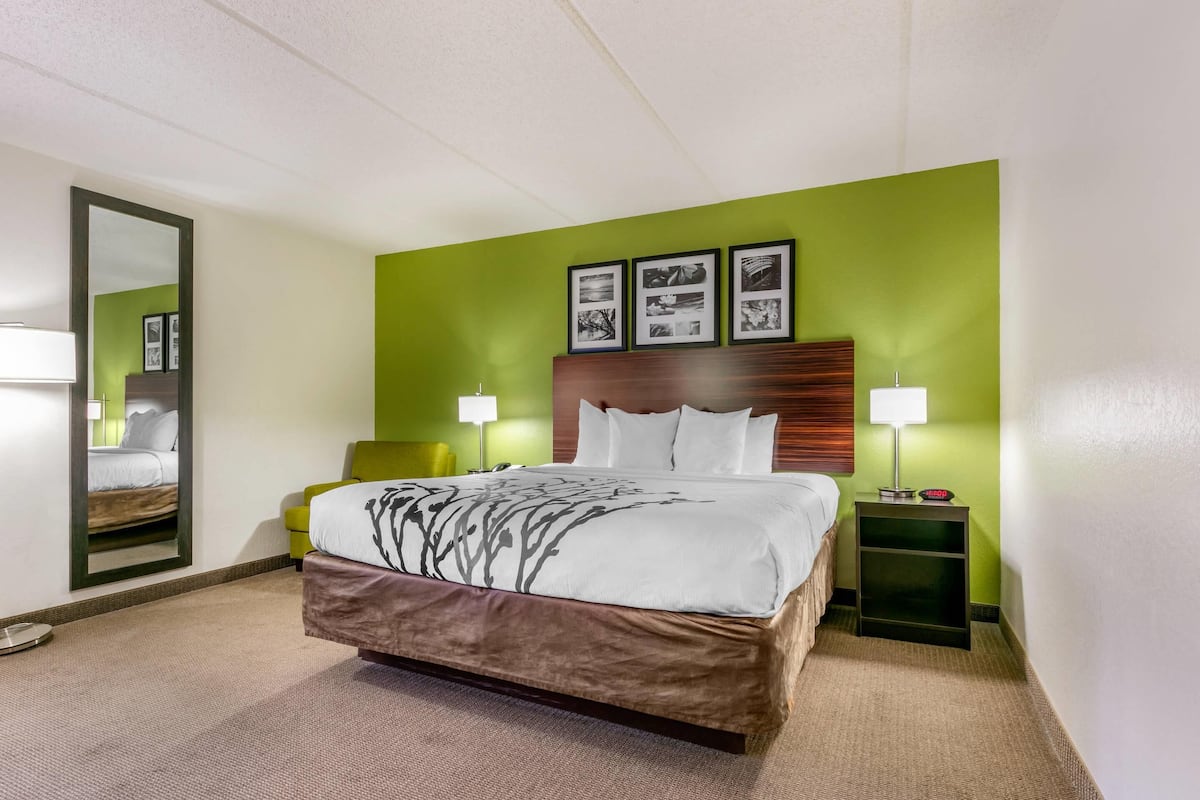 Une chambre d’hôtel avec un lit, deux tables de chevet, un miroir et des murs verts.