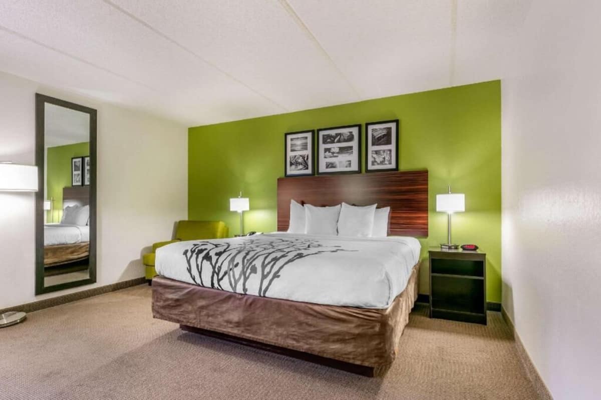 Une chambre d’hôtel avec un lit, deux tables de chevet, un miroir et des murs verts.