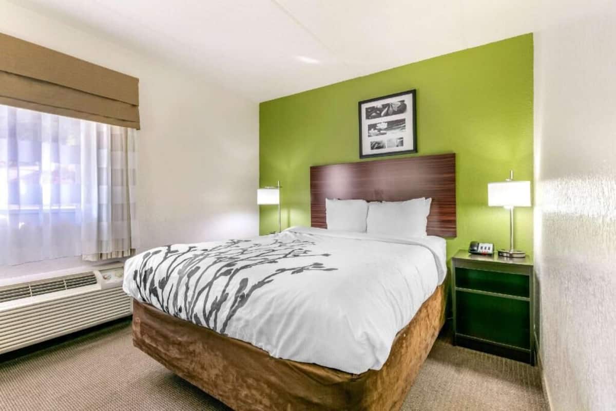 Une chambre d’hôtel avec un lit, une table de chevet avec une lampe, un tableau accroché au mur et une fenêtre avec des rideaux.