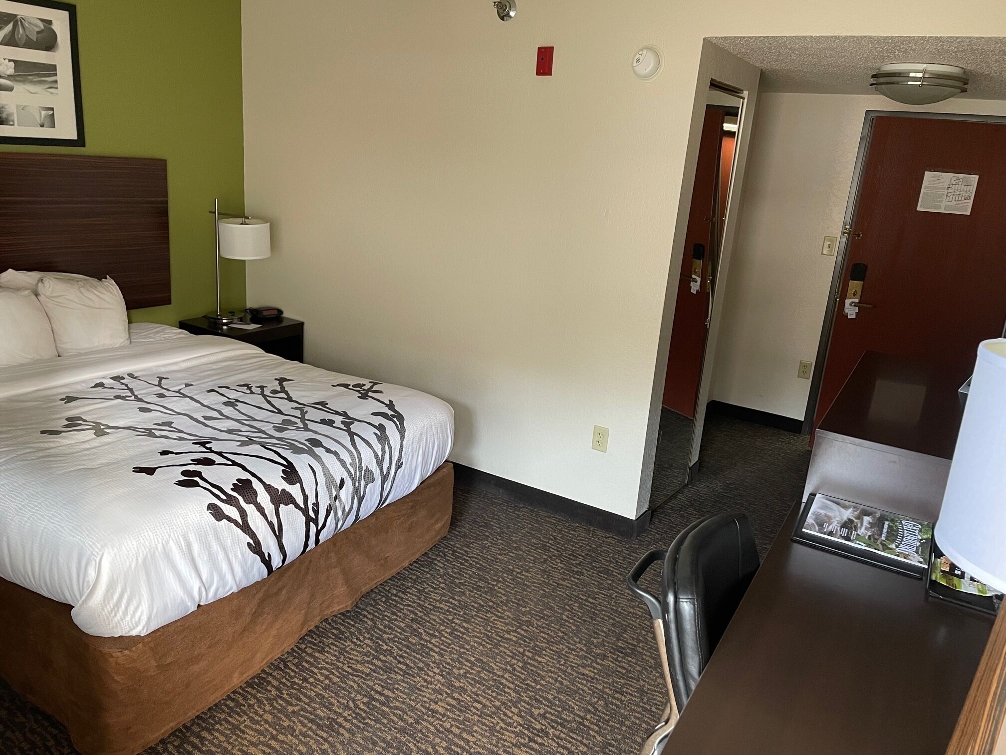 A hotel room with a bed, a desk, a chair, a nightstand, a lamp, and a door leading to another room.