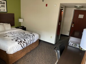 Sleep Inn Suites near Sports World Blvd