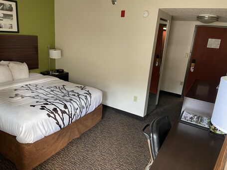 Sleep Inn Suites near Sports World Blvd - Image 47