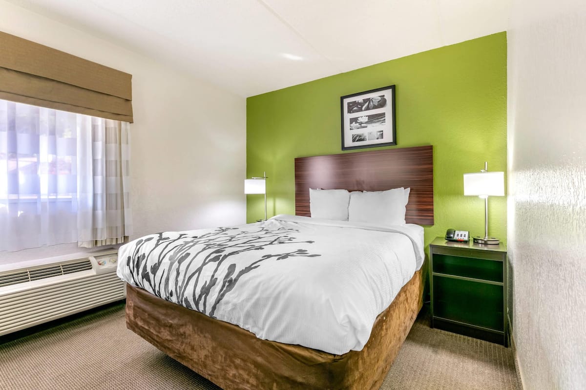 Une chambre d’hôtel avec un lit, un radiateur, une table de chevet avec une lampe et un mur vert.