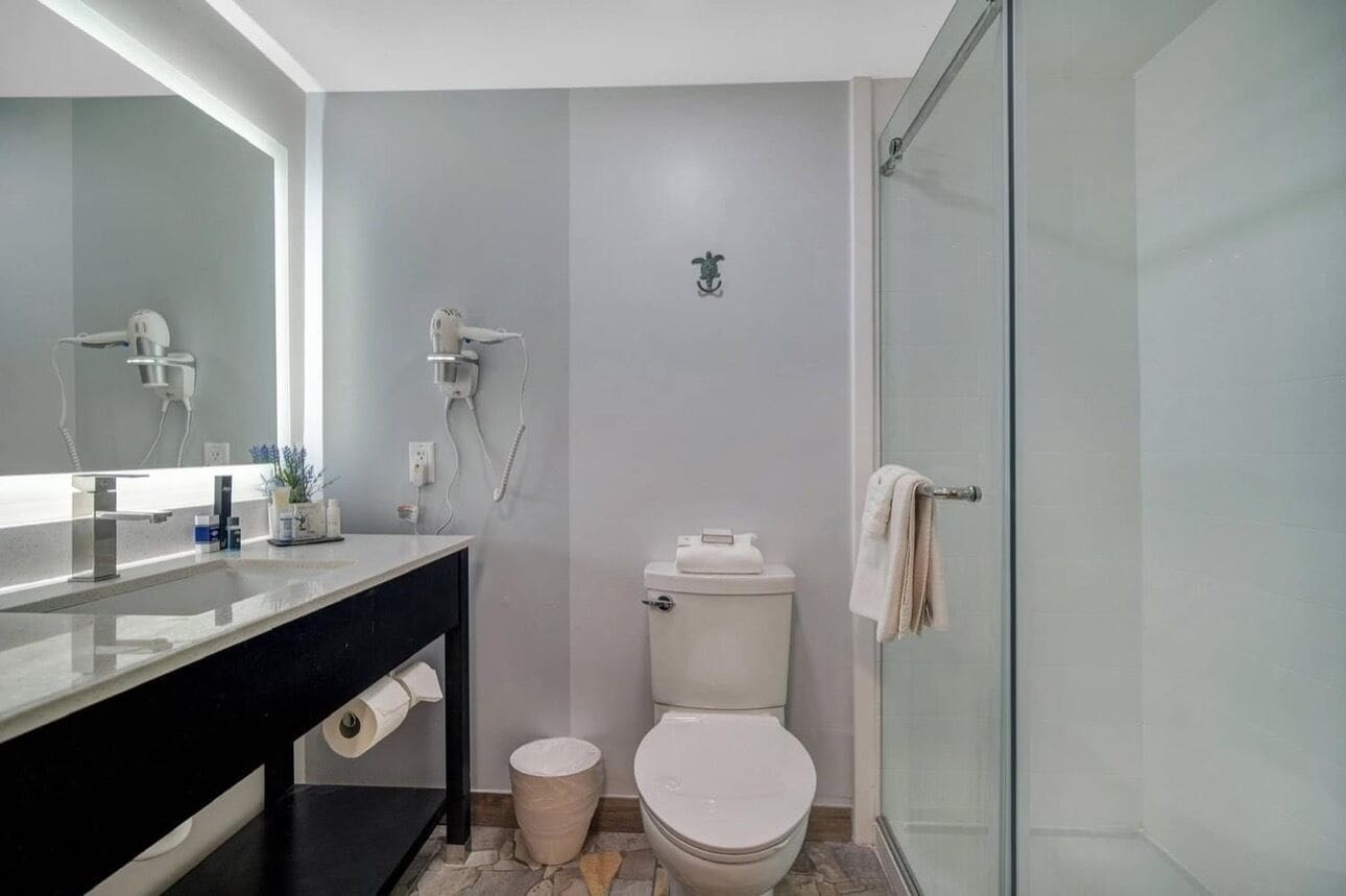 Une salle de bain moderne avec un plan de toilette noir, des toilettes blanches, une douche en verre et un grand miroir.