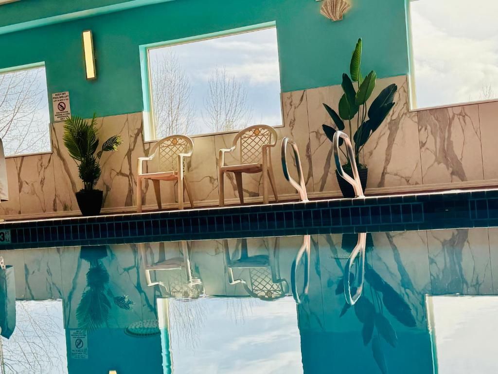 A pool area with two chairs and a potted plant.