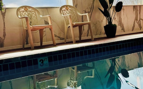 A poolside area with two chairs and a potted plant.
