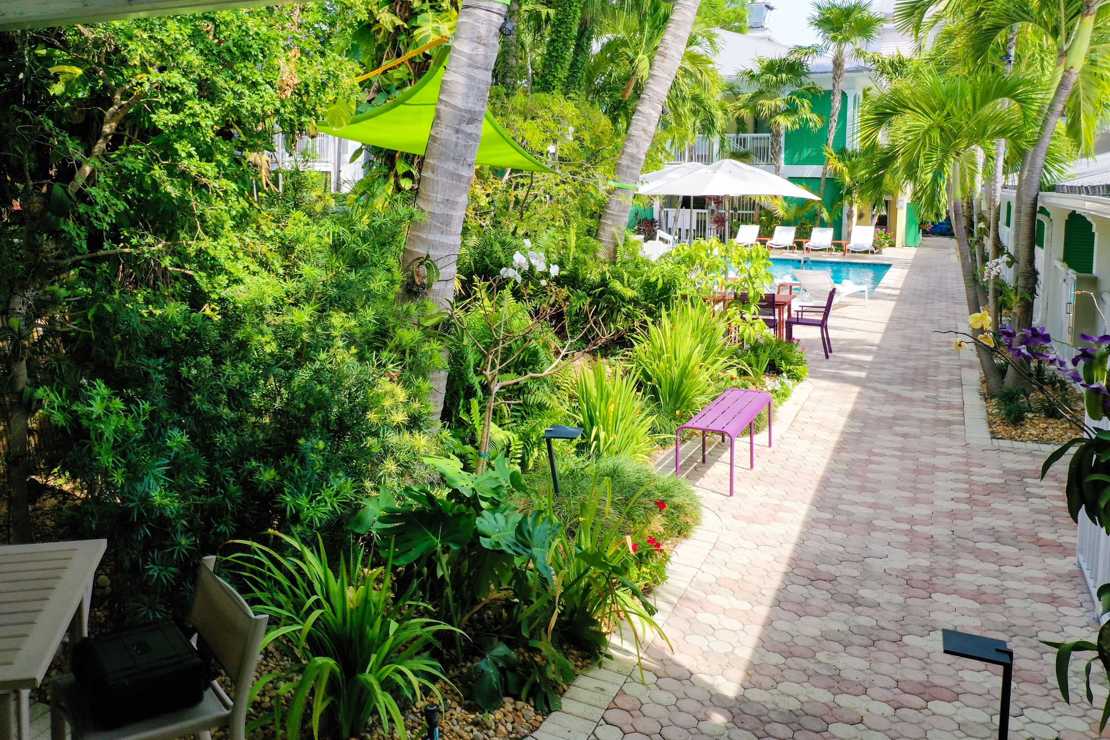 Foto - Almond Tree Inn Hotel - Adults Only