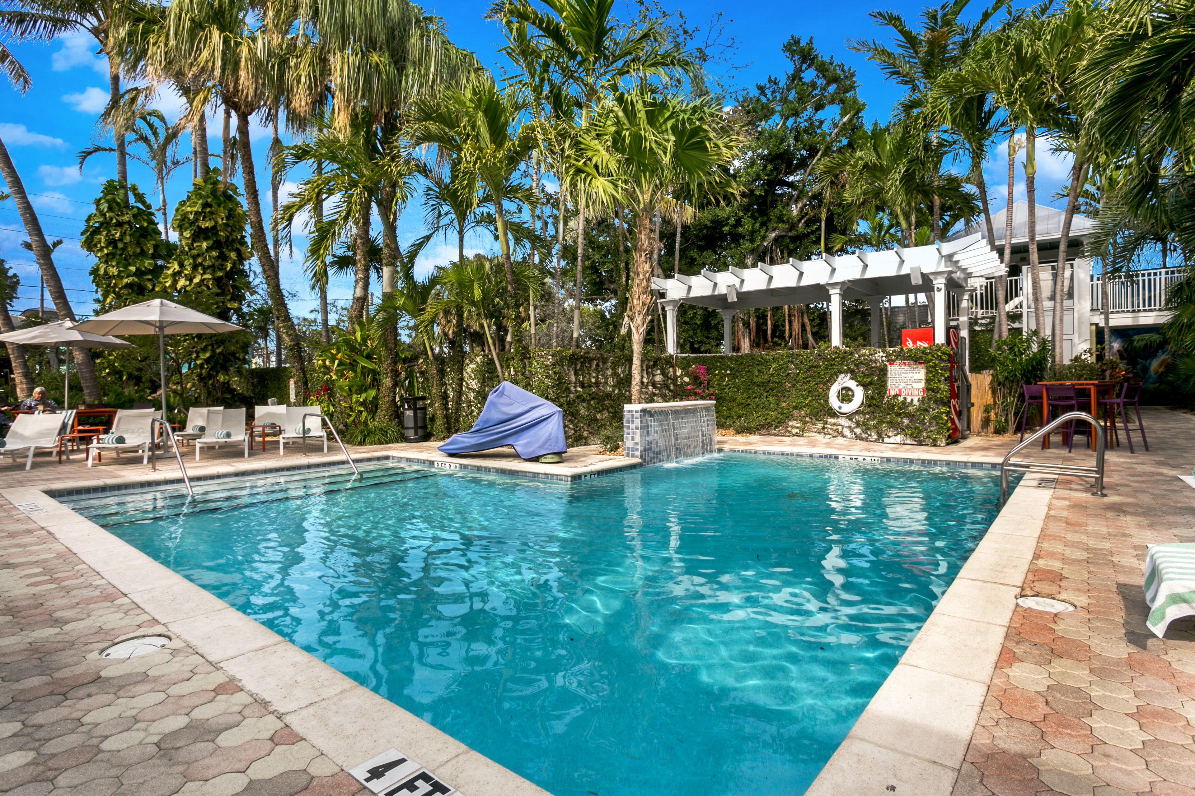 حمّام سباحة خارجي، مظلات على حمّام السباحة، مقاعد للتشمس