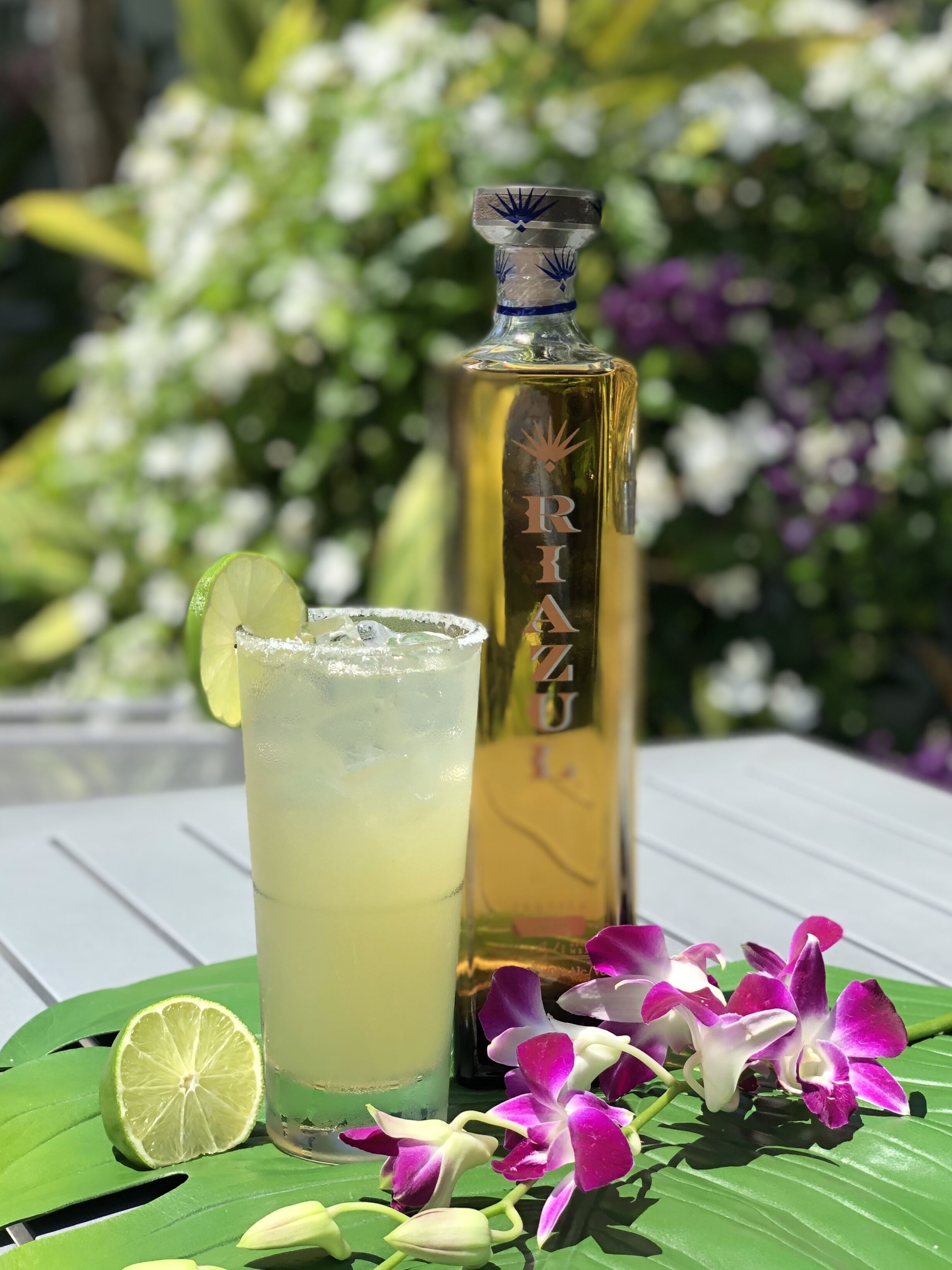 Foto - Orchid Key Inn - Adults Only