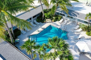 A rooftop pool area with lounge chairs and palm trees.