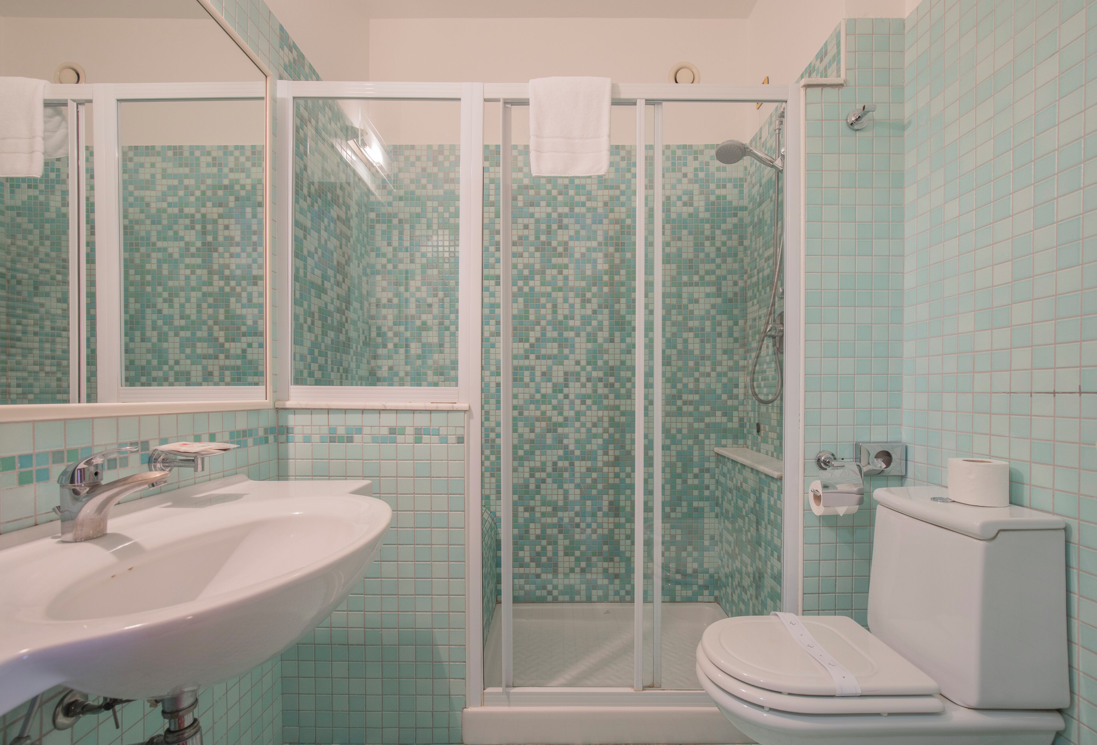 shower, free toiletries, hair dryer, bidet