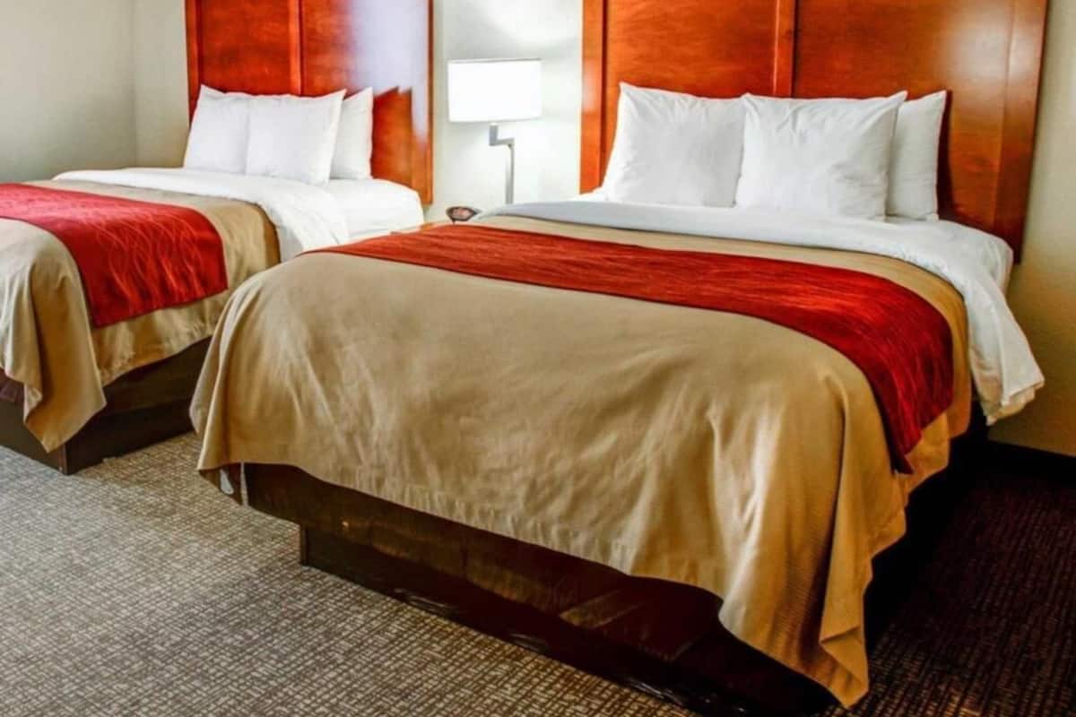 Coffre-fort, rideaux dâobscurcissement, fer et planche Ă repasser