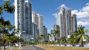 Un área urbana moderna con rascacielos, palmeras y un camino pavimentado.