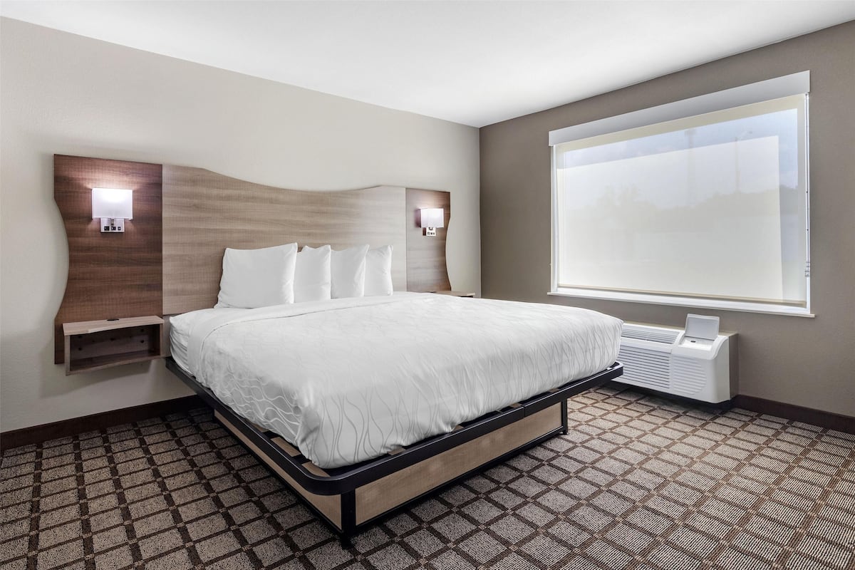 Suite, 1 cama King size, para no fumadores (Walk-in Shower;with Single Sofabed) | Escritorio, espacio para trabajar con laptop y cortinas blackout