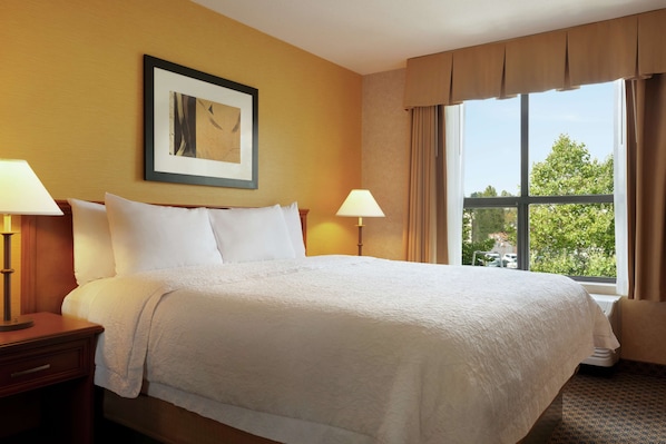 Suite non-fum., très grand lit, cuisine | Bureau, fer et planche à repasser, accès au Wi-Fi (inclus)