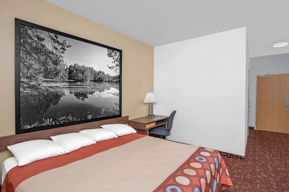 Habitación de hotel con una cama grande, un escritorio con silla, una lámpara y un cuadro grande con un paisaje de lago.