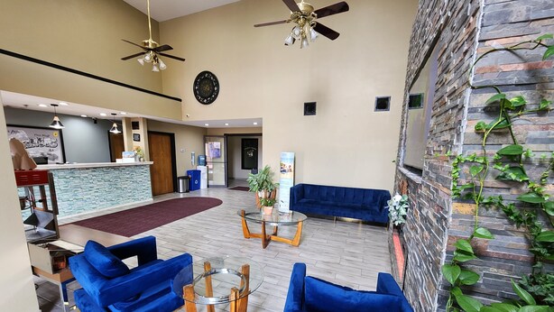 Vestíbulo de hotel con una recepción, sofás azules, una mesa de centro de vidrio y una pared de piedra con plantas trepadoras.