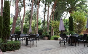 Relax in a serene garden setting with comfortable seating and shade under the trees.